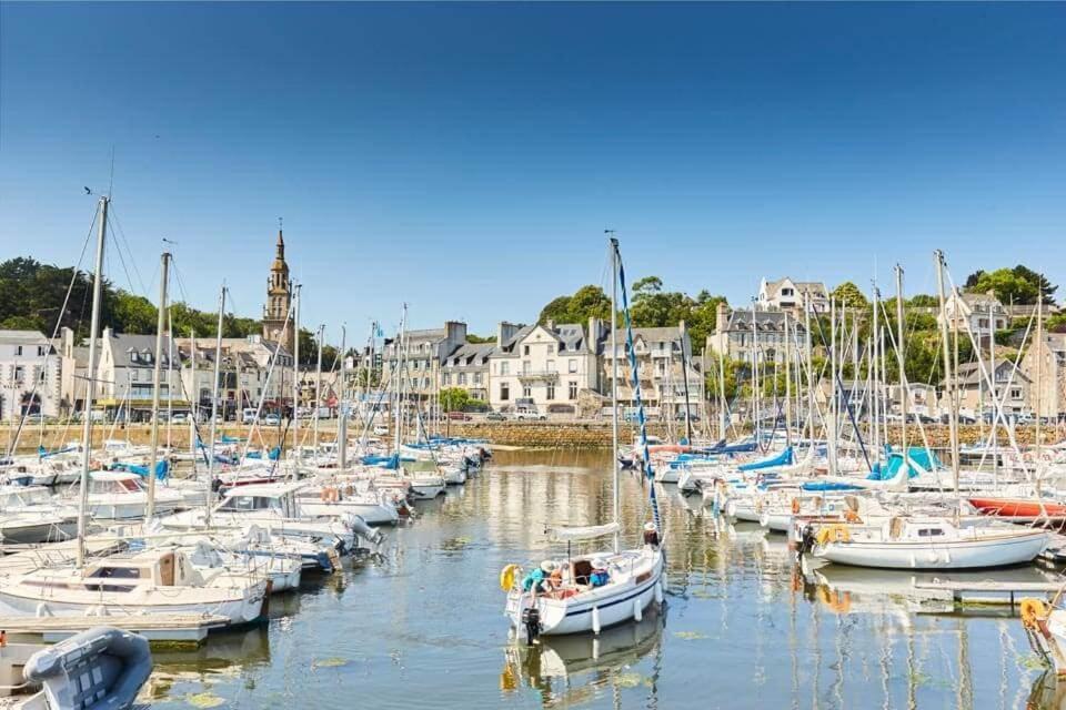 Le Nid Briochin Studio Au Coeur De Saint-Brieuc Dış mekan fotoğraf